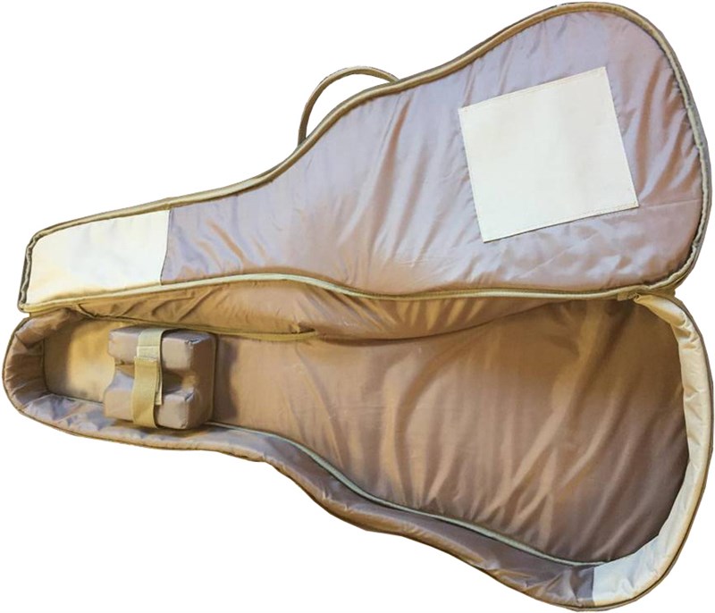 eastman gig bag