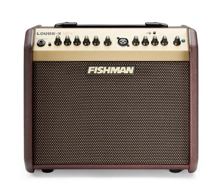 Fishman Loudbox Mini + BT #1