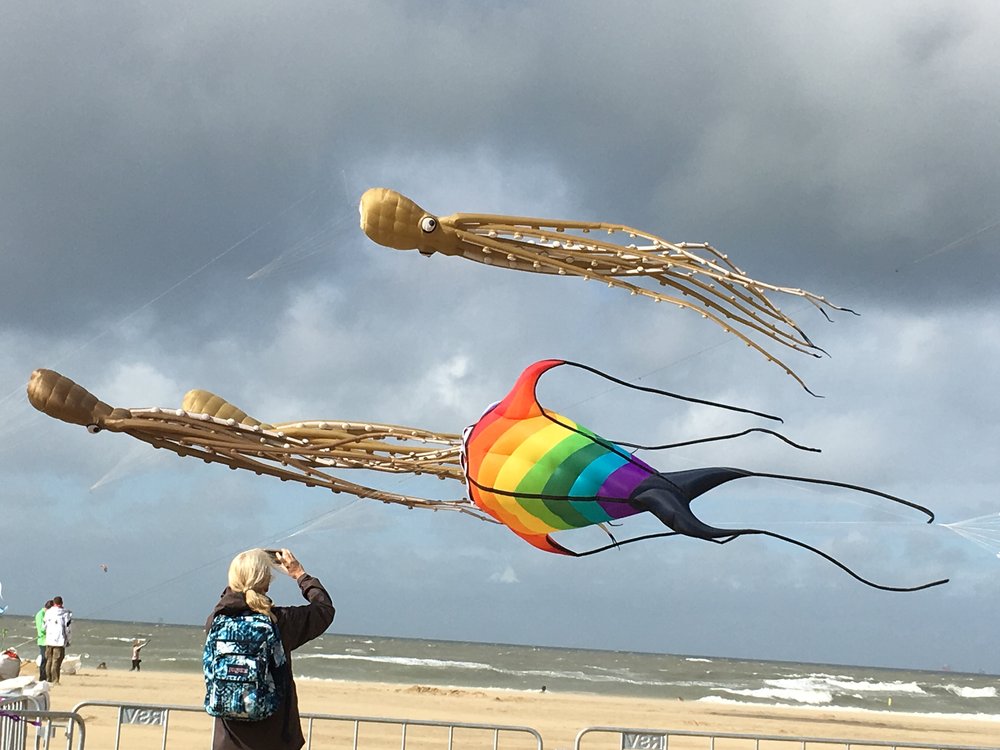 The Scheveningen Kite Festival&nbsp;
