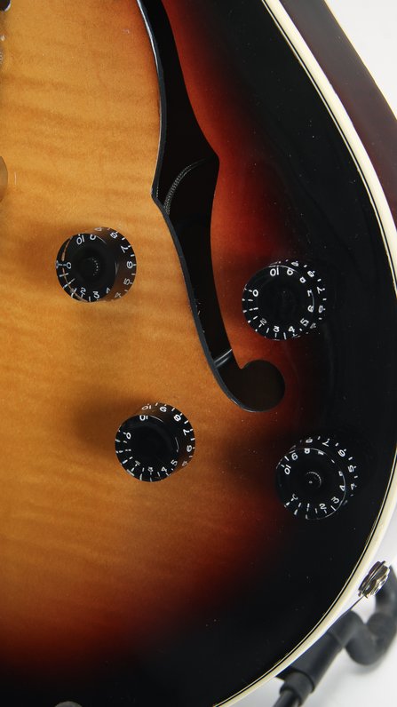 Gibson ES-137C Classic Tri-Burst (2007) #8