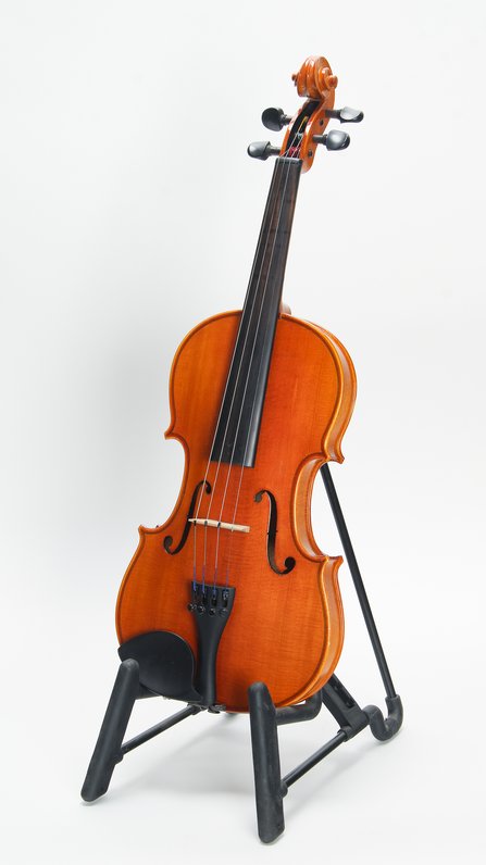 Eastman ML80 Student Violin Package #3